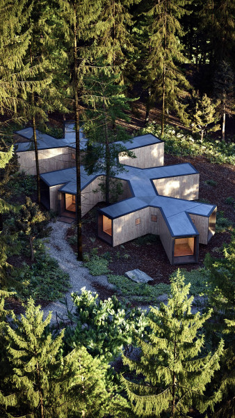 Modern house in the woods